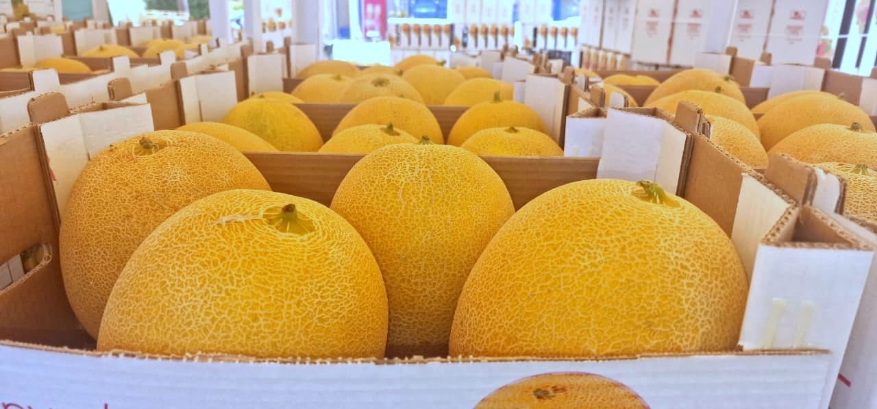 fruit exports Greece, φρέσκα λαχανικά εξαγωγής Εξαγωγές φρούτων | λαχανικών